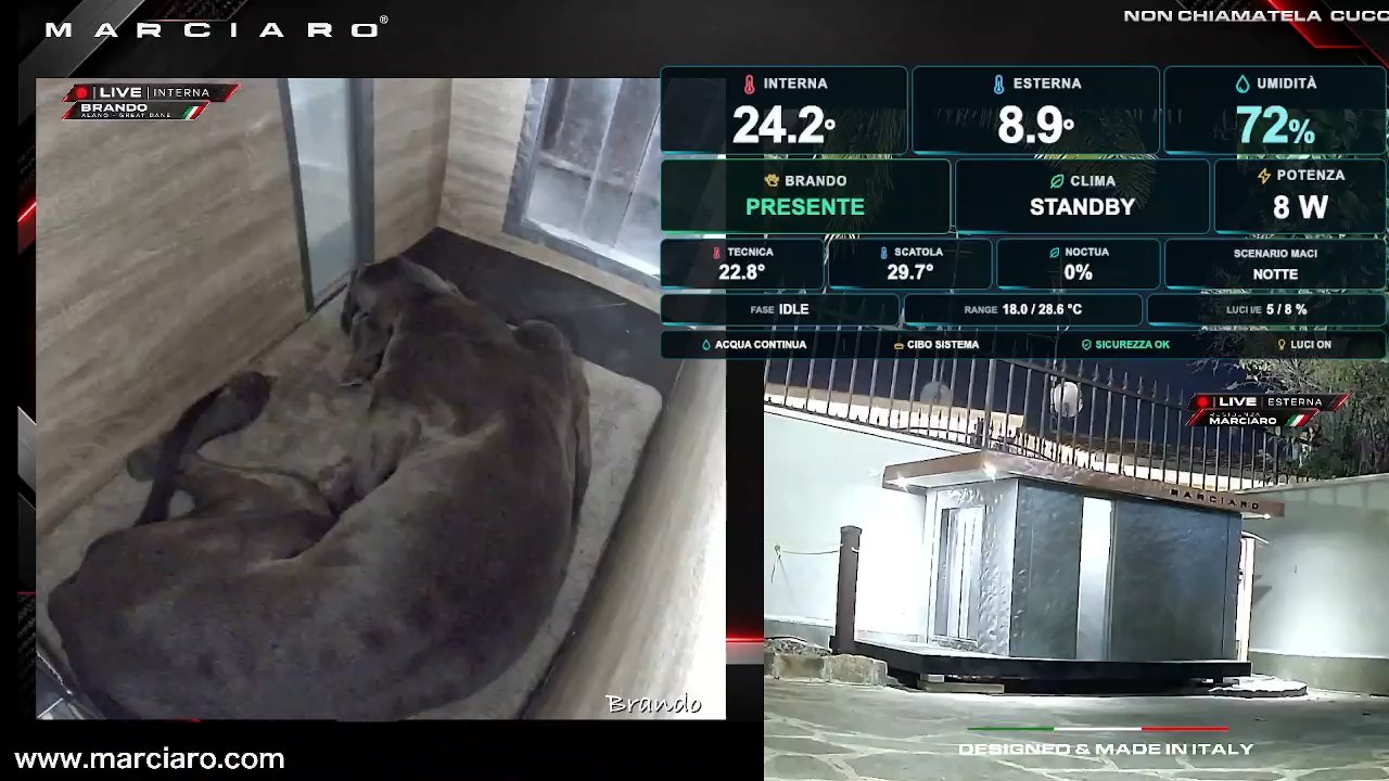 Fotogramma reale del video Inverno della Residenza Marciaro
